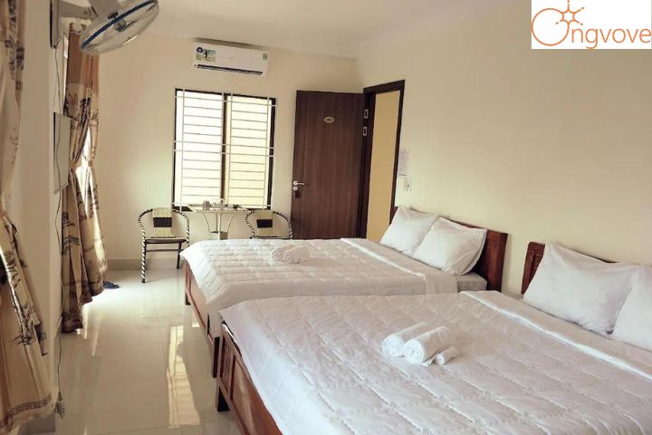 Rabbit Motel Huế