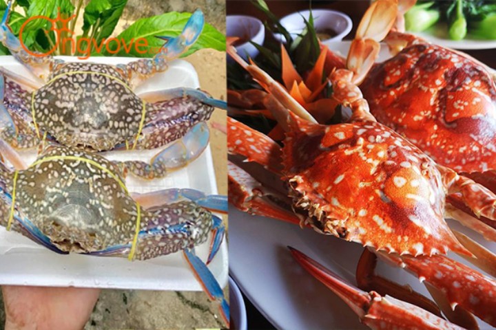 Ghẹ hàm ninh
