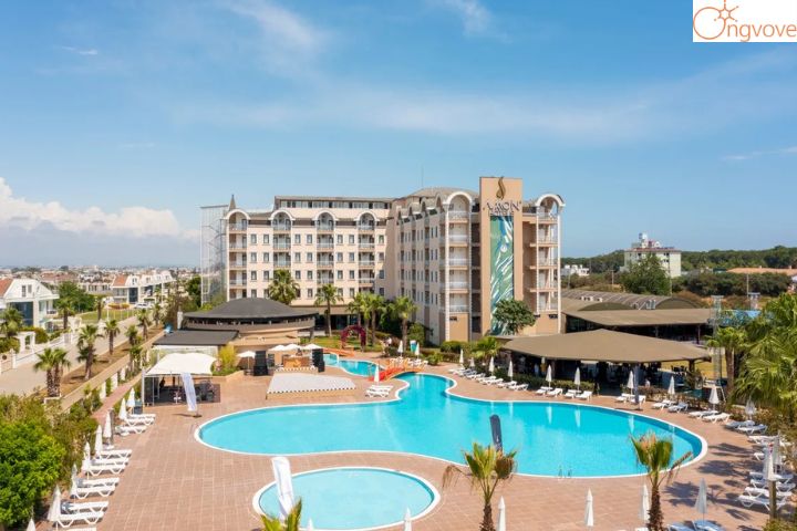 Hotel Amon