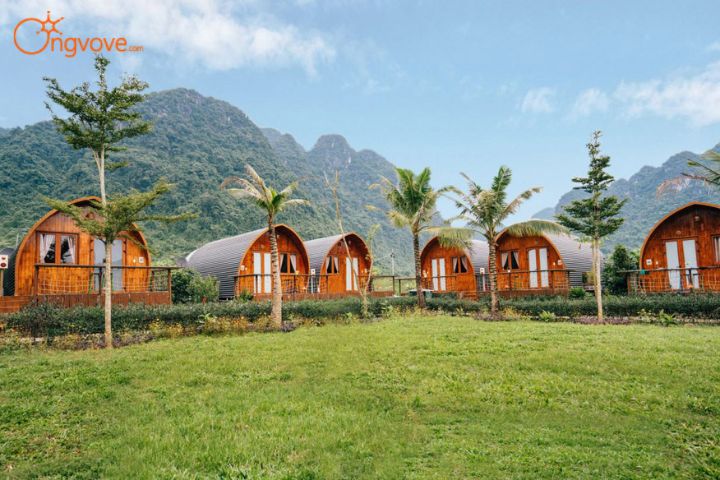 9 mô hình farmstay ở Việt Nam phổ biến hiện nay