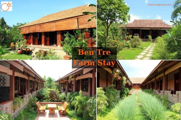Ben Tre Farm Stay