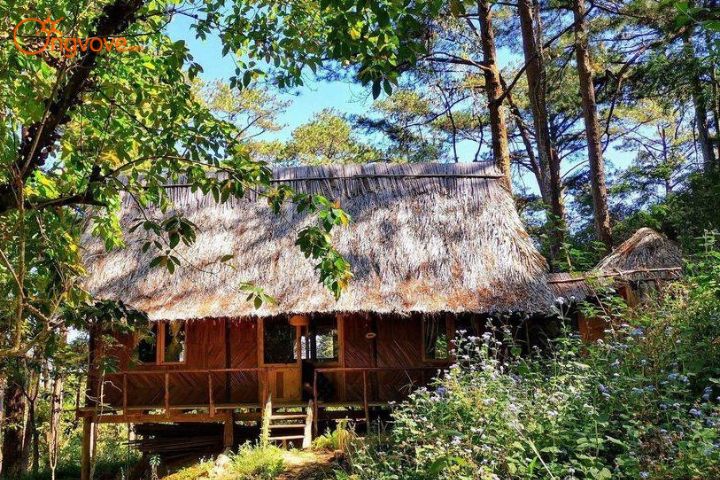 Đặc điểm và yếu tố quan trọng trong mô hình farmstay ở Việt Nam