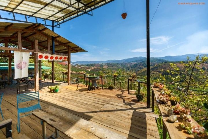 Midori Coffee Farm