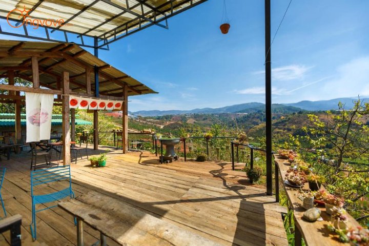 Midori Coffee Farm