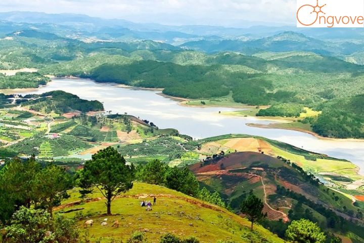 Một số Tour Khánh Hòa Đà Lạt nổi bật tại Ong Vò Vẽ