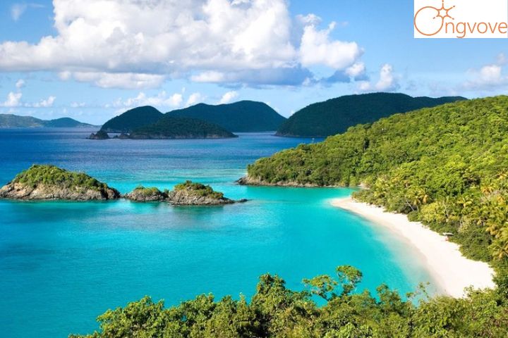 Những điểm vui chơi khi tham gia Tour Khánh Hòa Đà Lạt