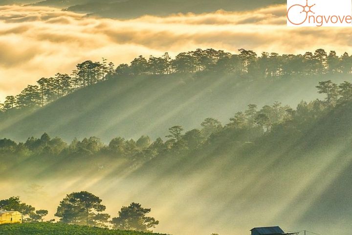 Những điểm vui chơi khi tham gia Tour Thanh Hóa Đà Lạt