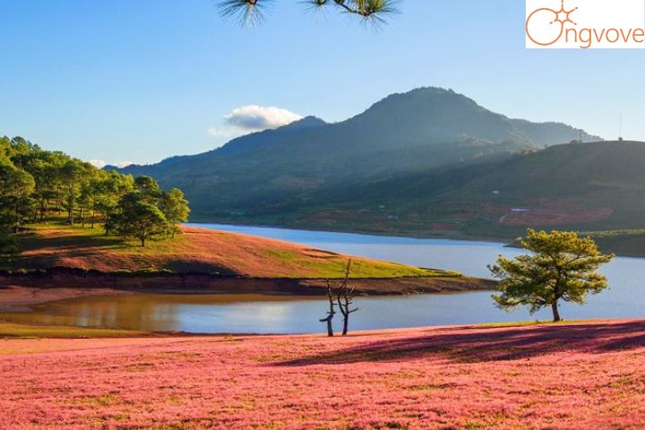 Những lưu ý khi tham gia Tour Khánh Hòa Đà Lạt