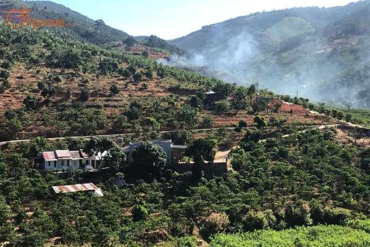 Ovi Coffee Farmstay