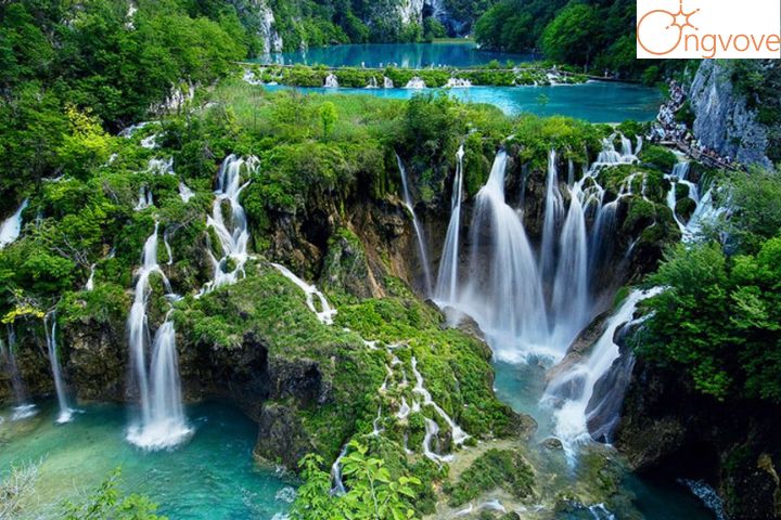 Vì sao nên chọn đi Tour Thanh Hóa Đà Lạt thay vì đi du lịch tự túc