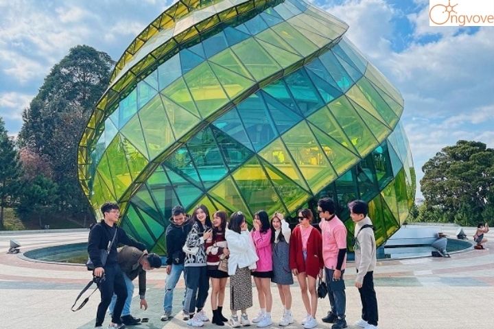 Vì sao nên chọn đi Tour Gia Lai Đà Lạt thay vì đi du lịch tự túc