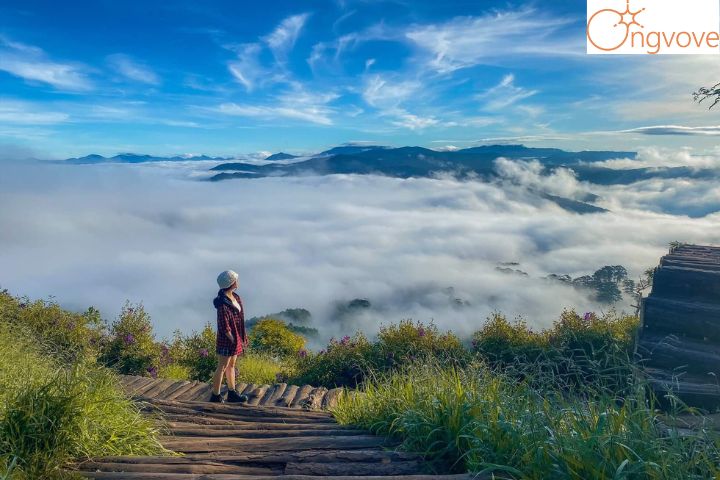 Một số Tour Cà Mau Đà Lạt nổi bật tại Ong Vò Vẽ