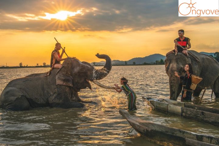 Những điểm vui chơi khi tham gia Tour Đắk Lăk Đà Lạt