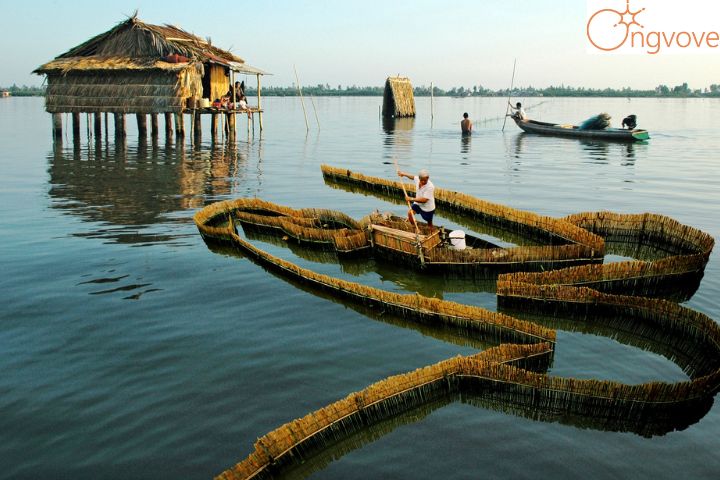 Vì sao nên chọn đi Tour Cà Mau Đà Lạt thay vì đi du lịch tự túc