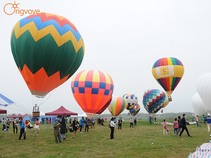 Fly up Vietnam