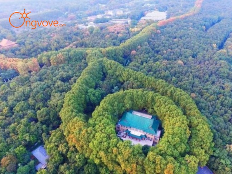 Trải nghiệm tuyệt vời
