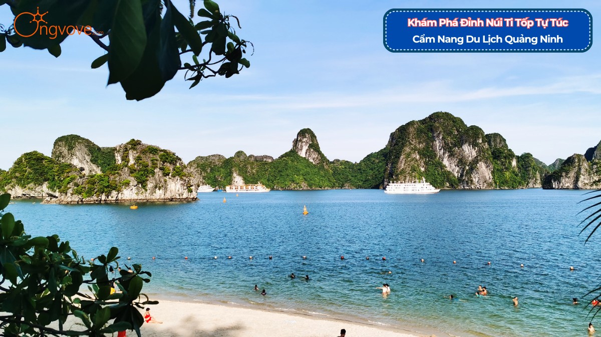 Khám Phá Ti Tốp Đỉnh núi Đảo Quảng Ninh - Cẩm Nang Du Lịch Quảng Ninh