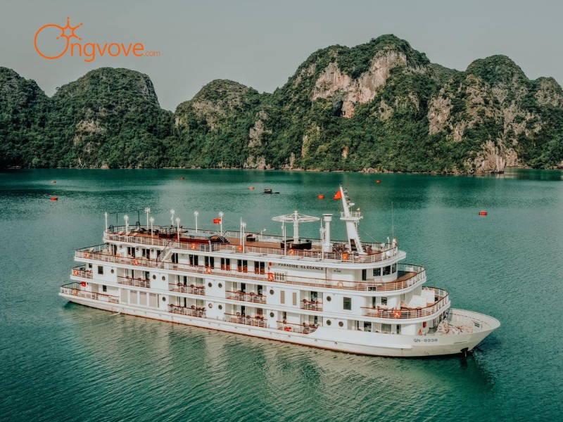 Các Dịch Vụ Lưu Trú tại Ti Tốp Đỉnh núi Đảo Quảng Ninh