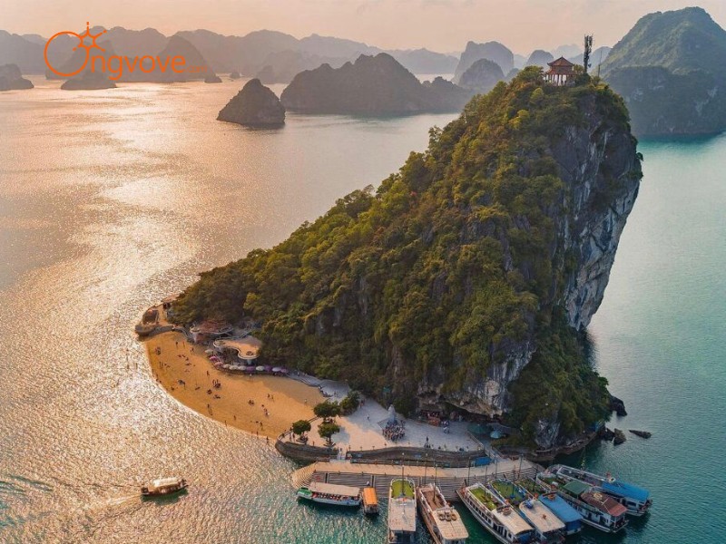 Những Lưu Ý Quan Trọng Khi Chinh Phục Ti Tốp Đỉnh núi Đảo Quảng Ninh