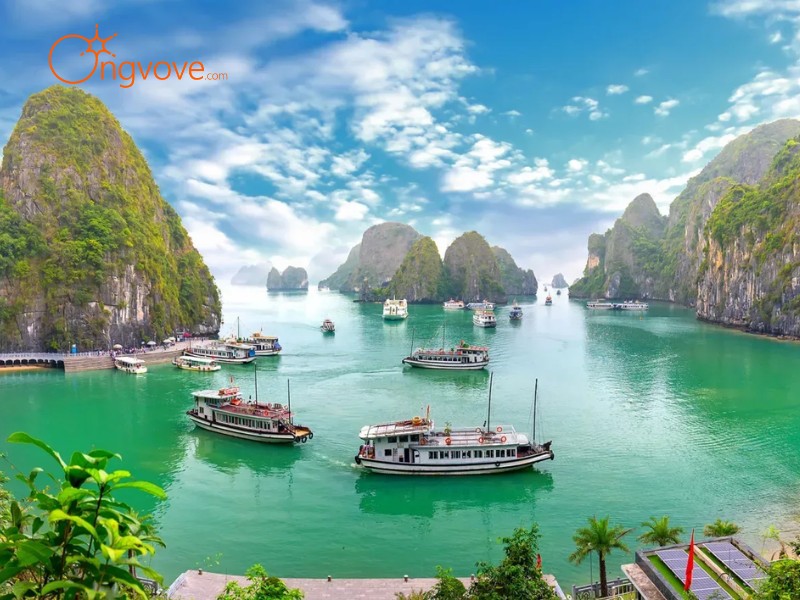 Phương Tiện Di Chuyển Đến Hang Sửng Sốt Quảng Ninh