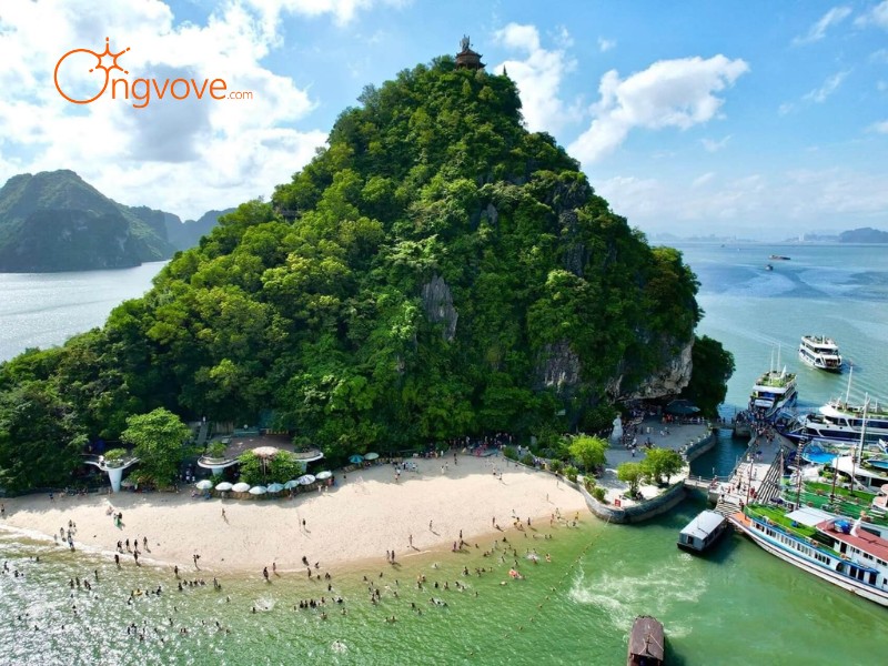 Khám Phá Các Địa Điểm Tham Quan Nổi Tiếng Tại Ti Tốp Đỉnh núi Đảo Quảng Ninh