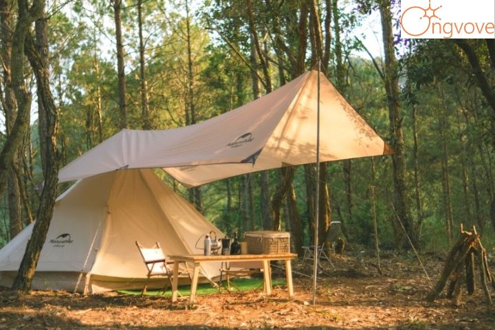 Cắm trại Đà Lạt cùng Lux Camp