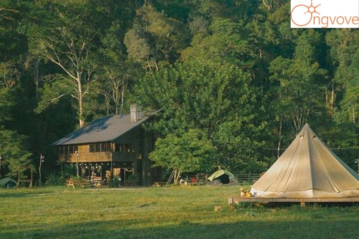 Cắm trại Đà Lạt tại Dalat Camp