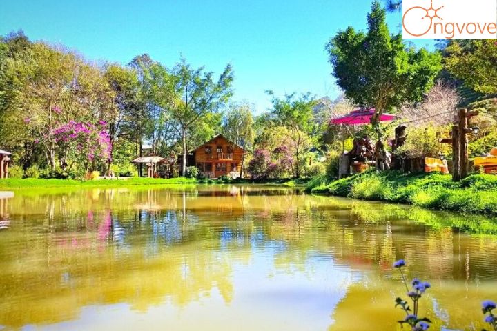 Cắm trại ở Ma Rừng Lữ Quán Đà Lạt