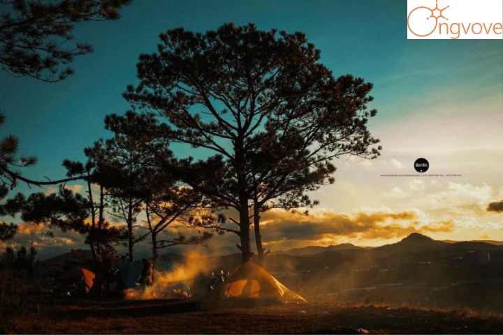 Cắm trại tại đồi Đa Phú Đà Lạt