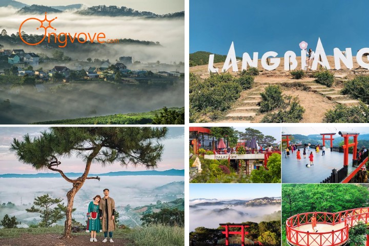 Điểm tham quan nổi bật của Tour Đà Lạt 2 Ngày 2 Đêm