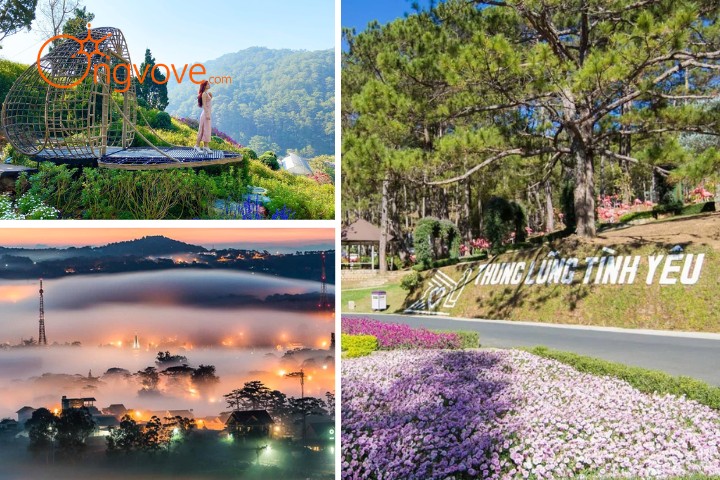 Tour Đà Lạt 2 Ngày 2 Đêm có gì đặc biệt