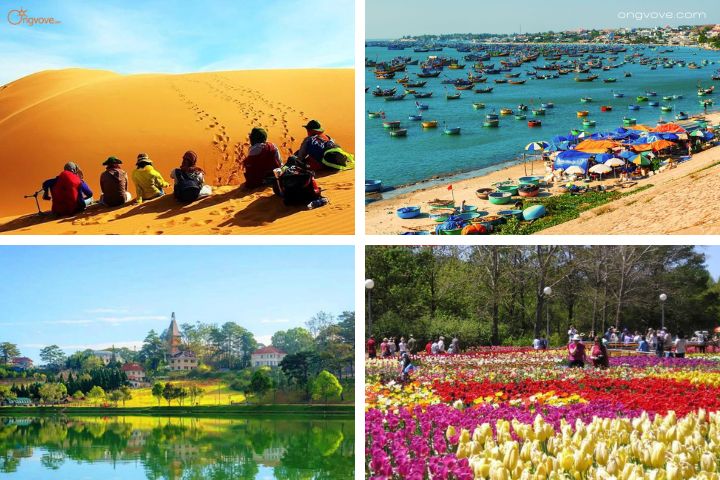 Các Điểm Tham Quan Nên Đi Tour Phan Thiết Đà Lạt