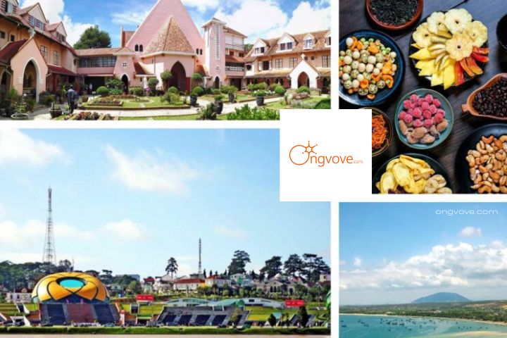 Các Loại Hình Tour Phan Thiết Đà Lạt Thịnh Hành Nhất Hiện Nay