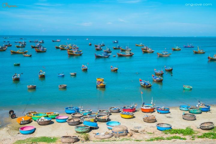 Cách Booking Hướng Dẫn Viên Cho Tour Phan Thiết Đà Lạt Trên Nền Tảng Ong Vò Vẽ Travel