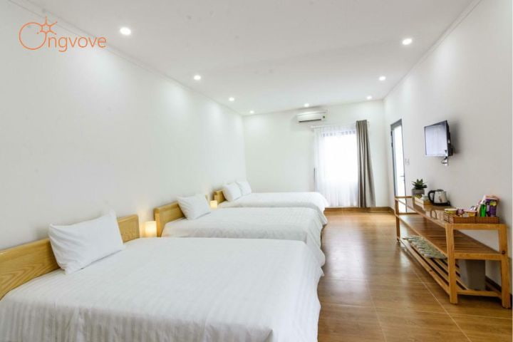 Homestay Bungalow Phú Quốc Wanderlust