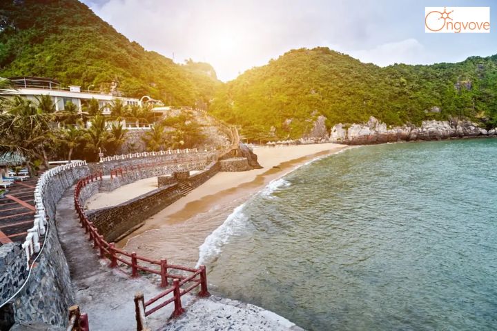 Catba Sunrise Resort