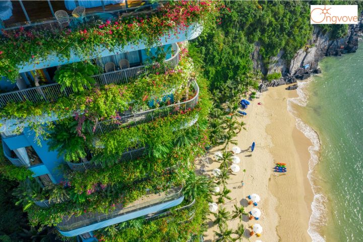 Flamingo Cát Bà Hải Phòng