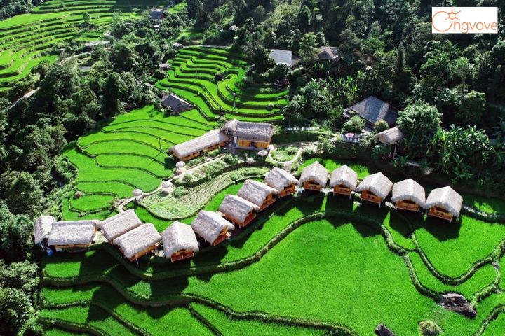 Hoang Su Phi Lodge