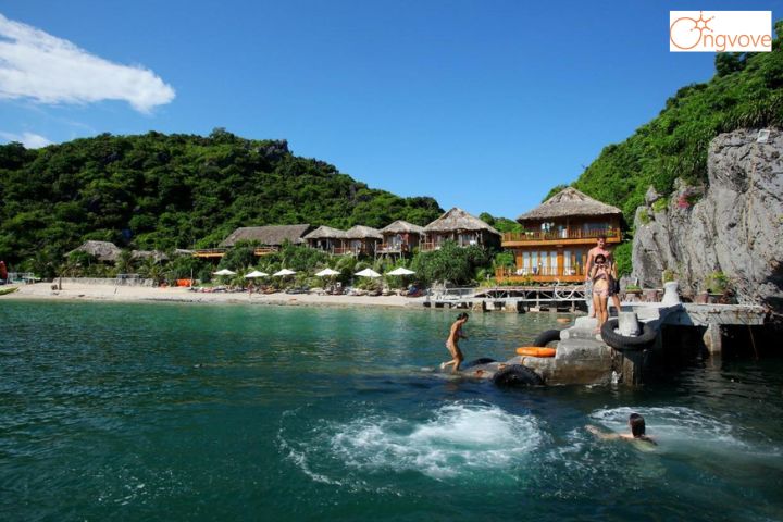 Monkey Island Resort