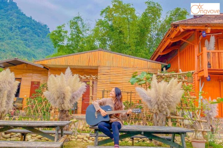Golden Jungle House Hà Giang