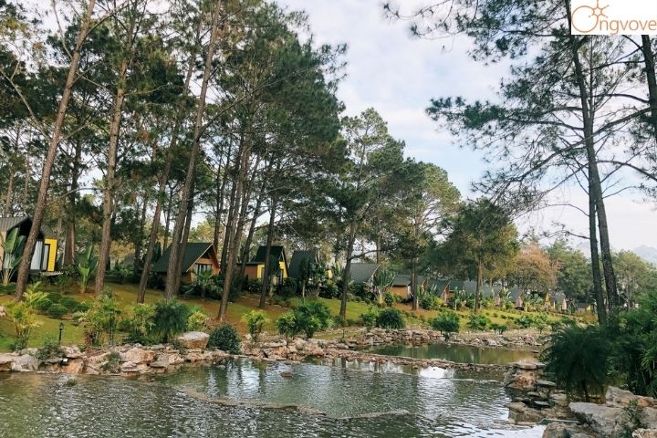 Phoenix Mộc Châu Resort