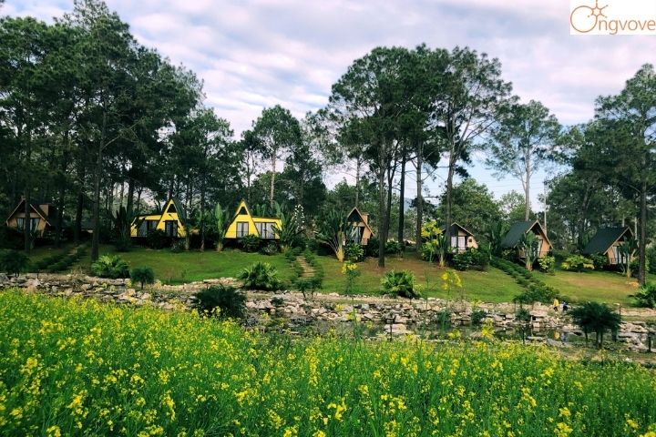 Phoenix Mộc Châu Resort