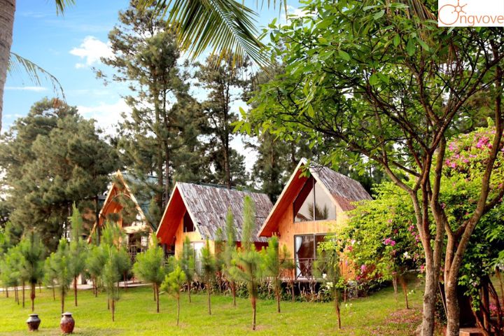  Đảo Ngọc Resort