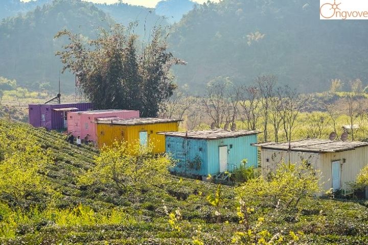 Arena Village Mộc Châu