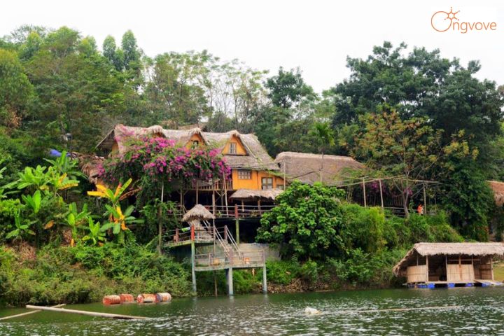 Lavie Vũ Linh