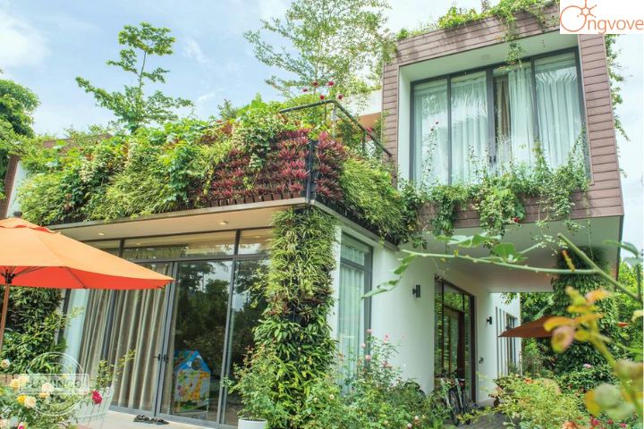 Paradise – Khu resort Vĩnh Phúc