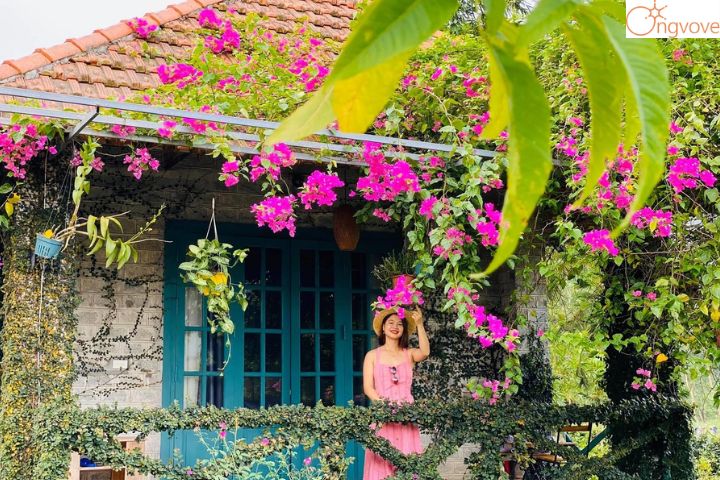 Hidden Hill Resort Tam Đảo