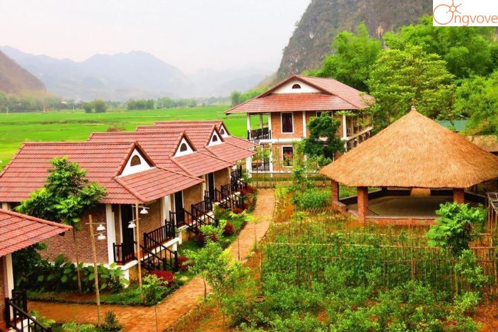 Sol Bungalows