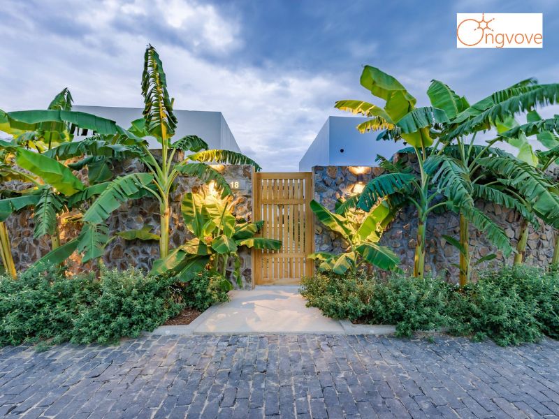 Resort Quê Tôi Phú Yên