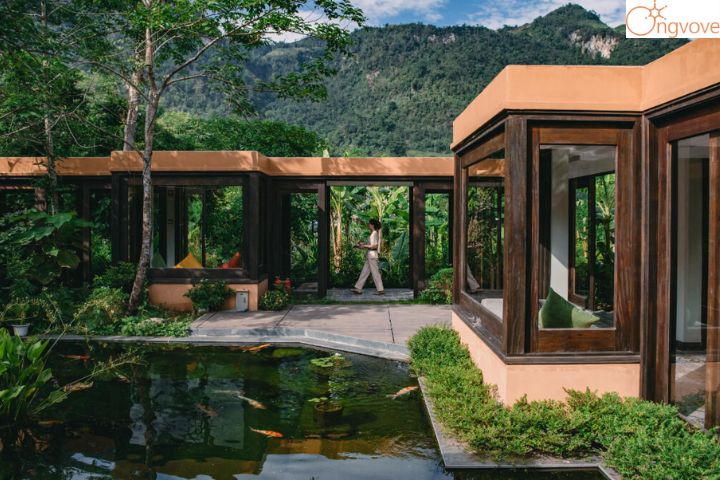 Avana Retreat